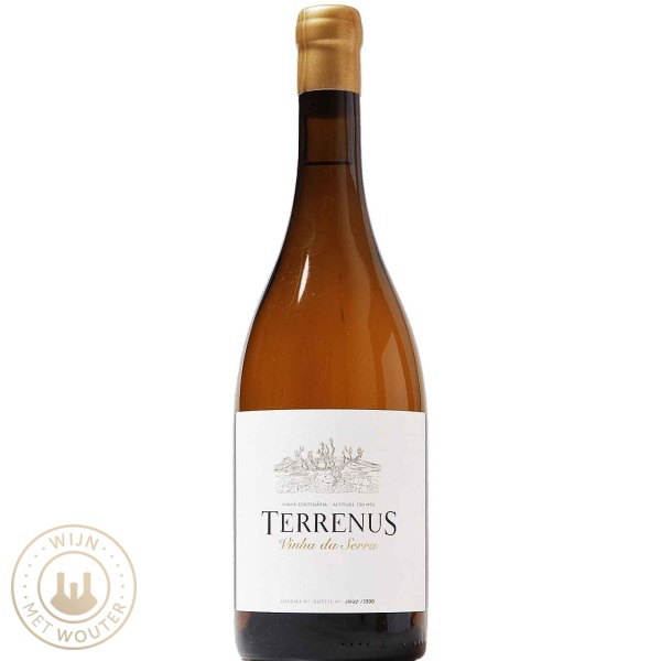 Terrenus Vinha da Serra Vinho Branco