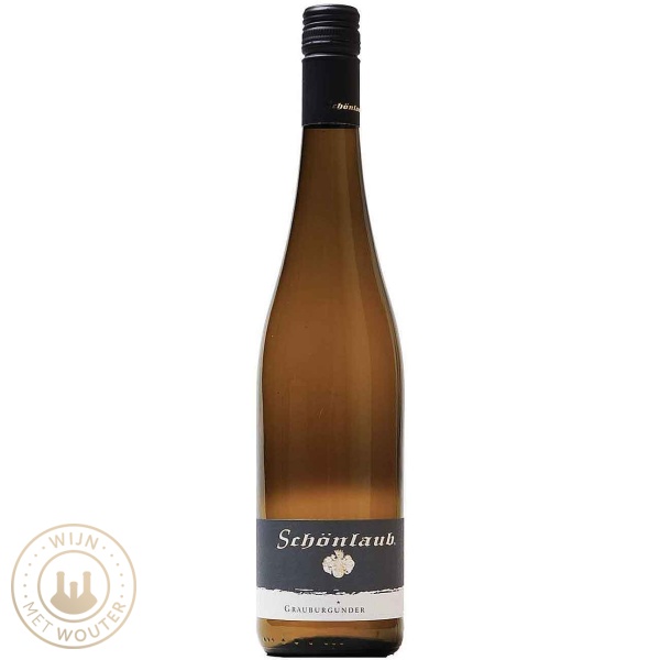 Weingut Schönlaub Grauburgunder