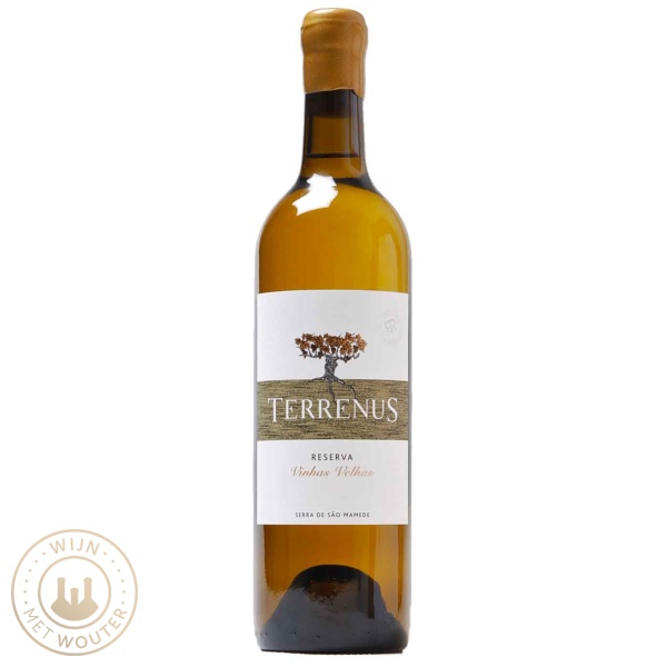 Terrenus Reserva Vinho Branco
