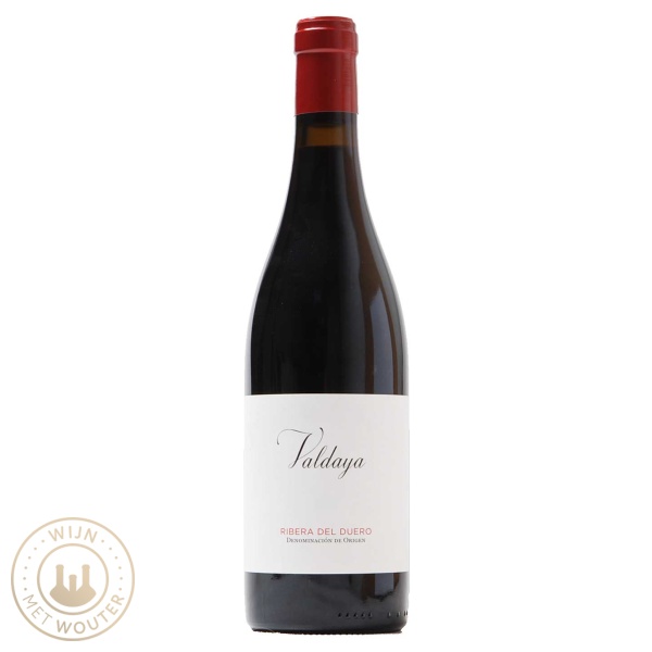 Ribera del Duero Bodegas Valdaya Valdaya